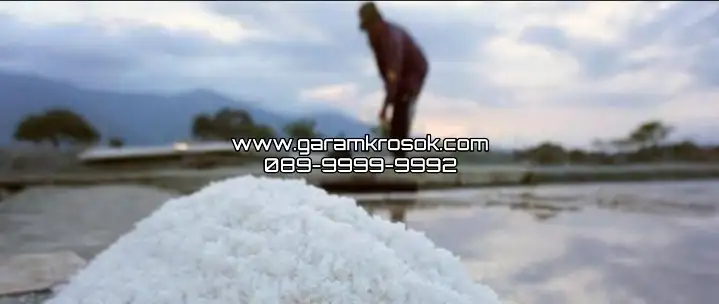 Supplier Garam Krosok Gresik Terdekat untuk Pembelian Grosir